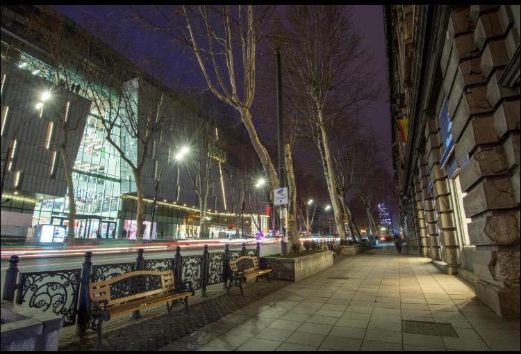 Rustaveli Apartment City Centre Tbilisi Eksteriør billede